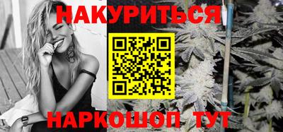 стафф Донецк