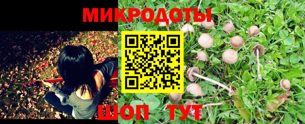 Галлюциногенные грибы прущие грибы Мирный